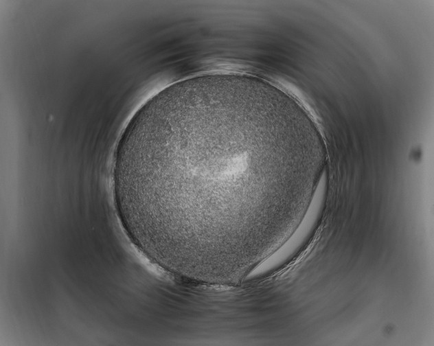 X0000100341235200806121143