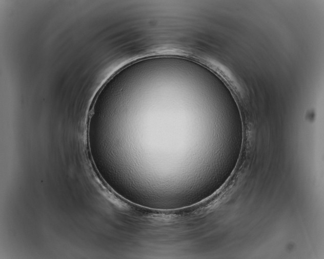 X0000100341236200806121143