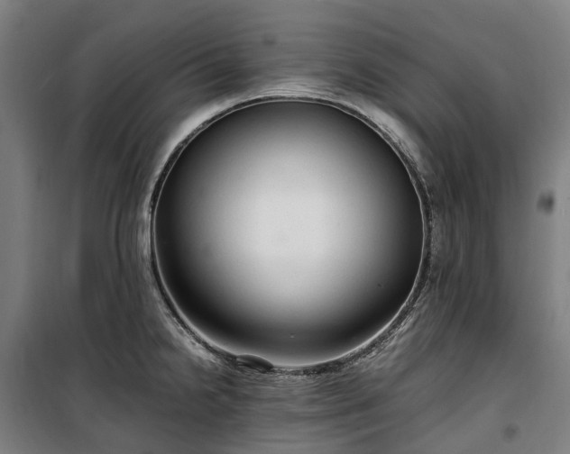 X0000100341238200806121143