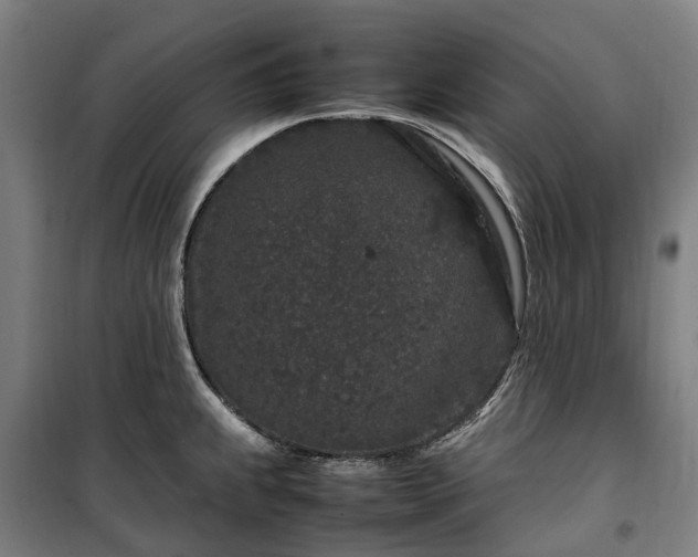 X0000100341239200806121143