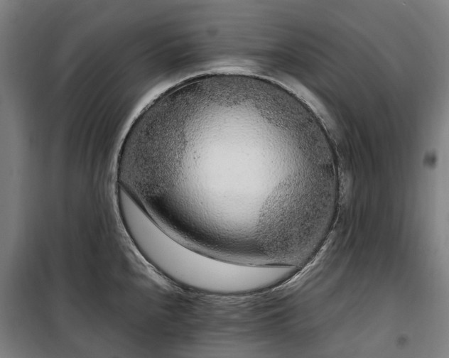 X0000100341240200806121143