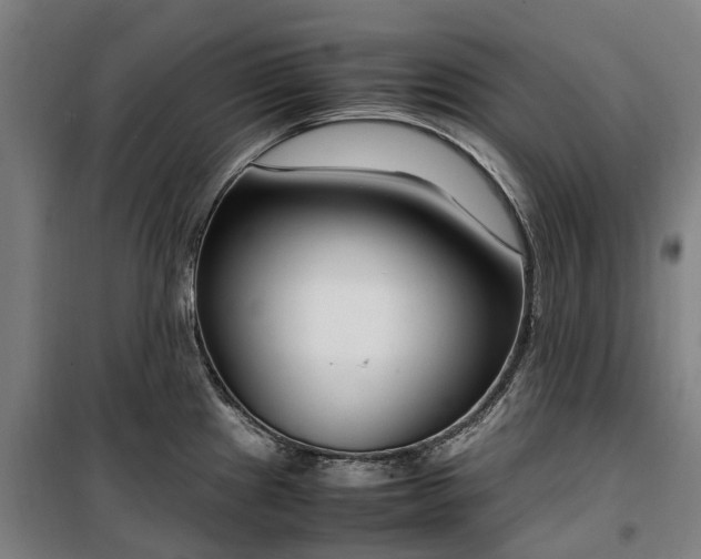 X0000100341241200806121143