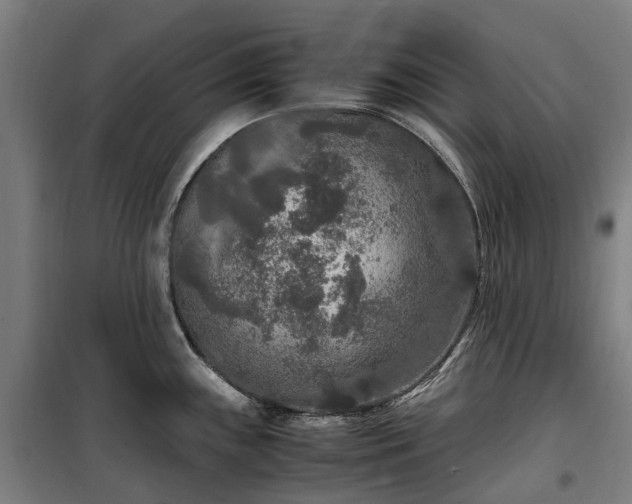 X0000100341243200806121143