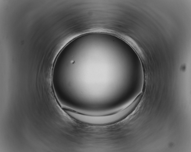 X0000100341244200806121143