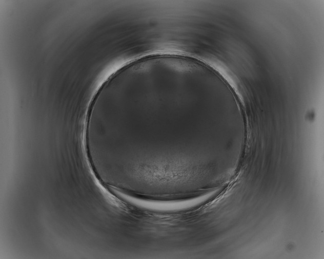 X0000100341245200806121143