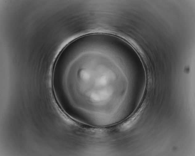 X0000100341246200806121143