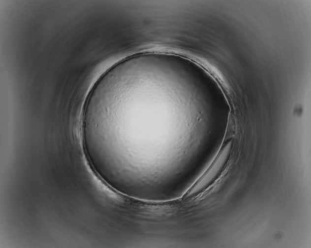 X0000100341247200806121143