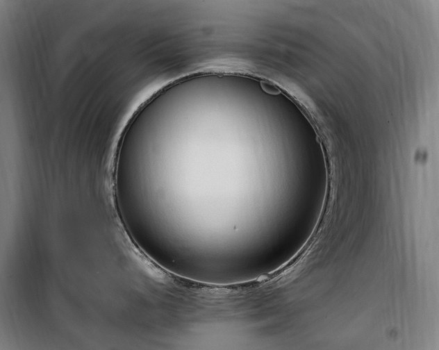 X0000100341248200806121143