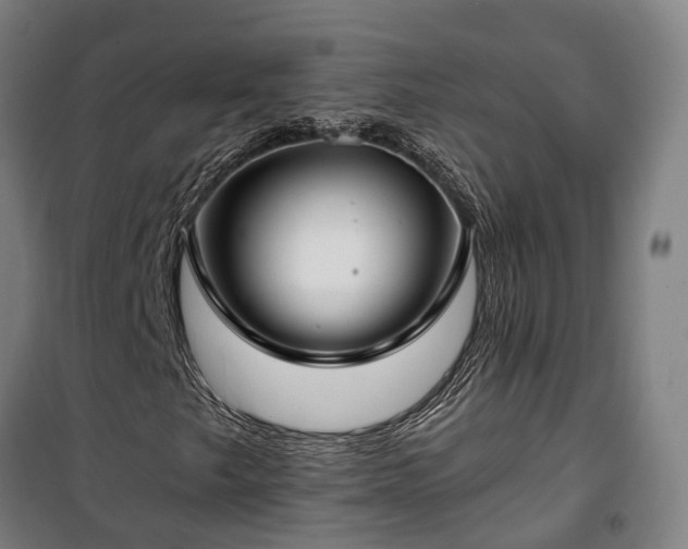 X0000100341249200806121143