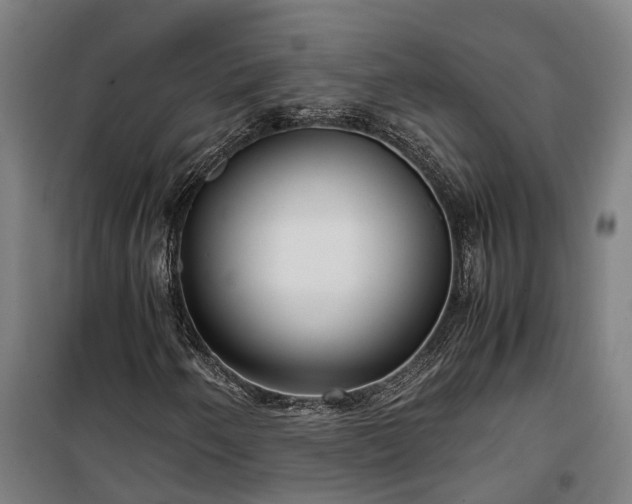 X0000100341250200806121143