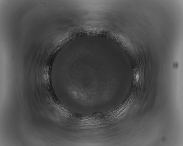 X0000100341252200806121143