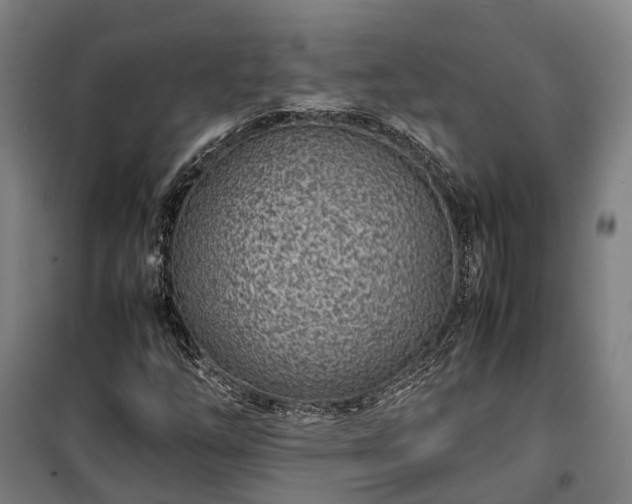 X0000100341254200806121143