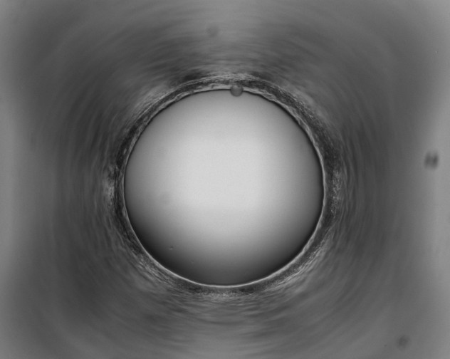 X0000100341257200806121142