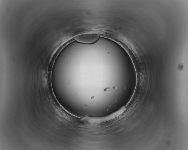 X0000100341260200806121142