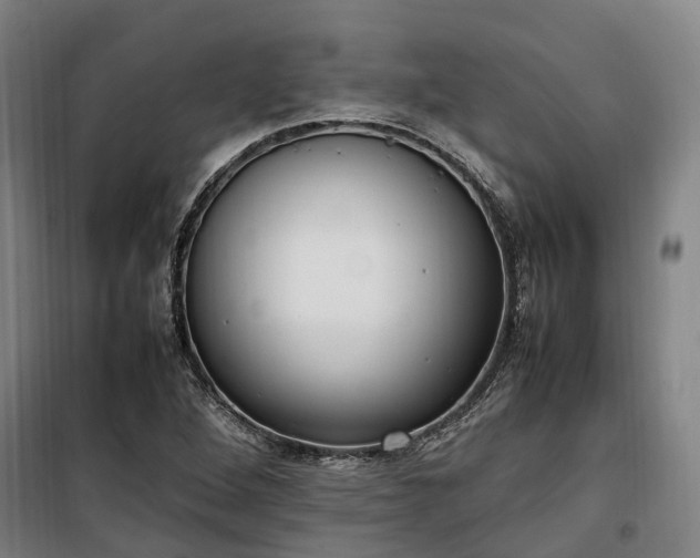 X0000100341264200806121142