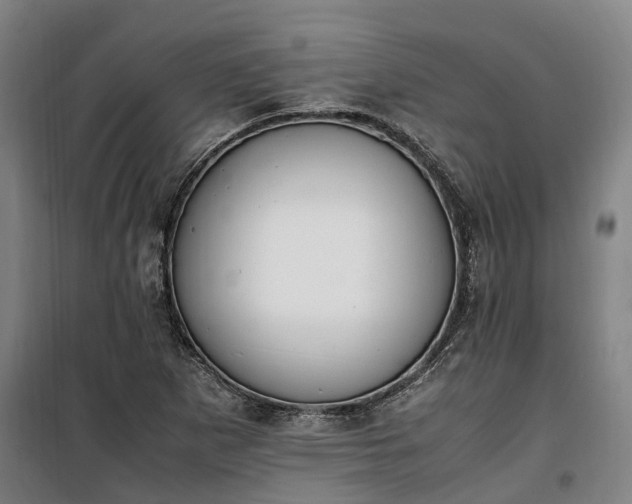 X0000100341265200806121142