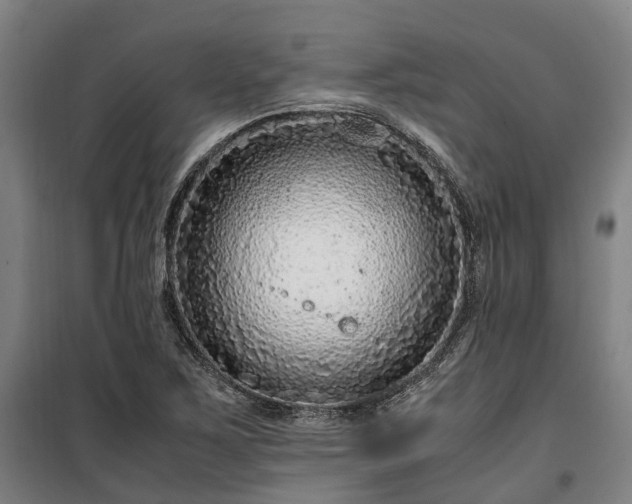 X0000100341267200806121142