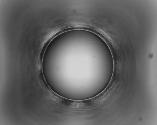 X0000100341269200806121142