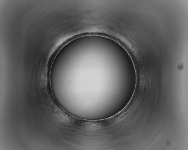 X0000100341270200806121142