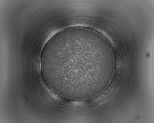 X0000100341274200806121142