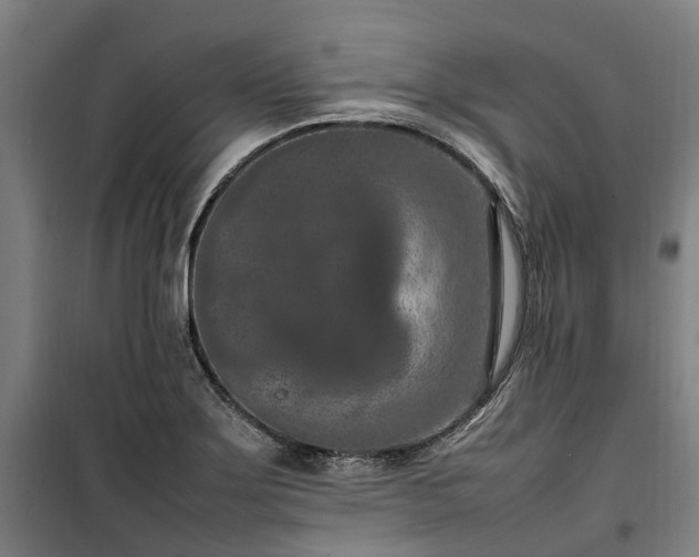 X0000100341275200806121142