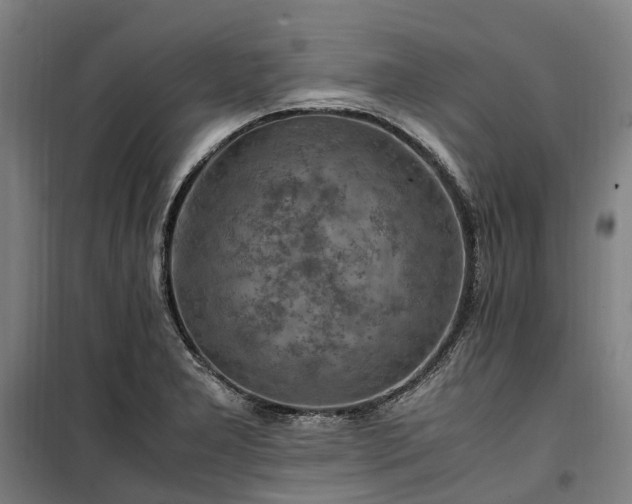 X0000100341277200806121142