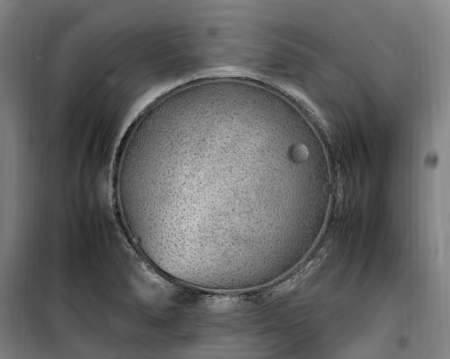 X0000100341278200806121142