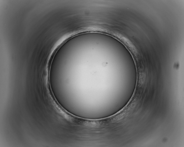 X0000100341286200806121142