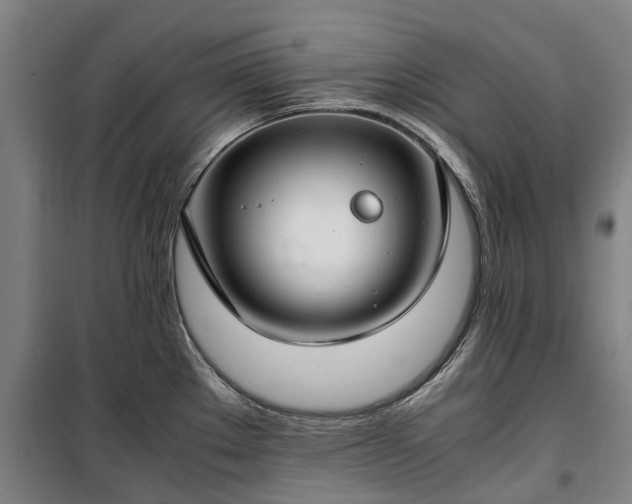 X0000100341289200806121142