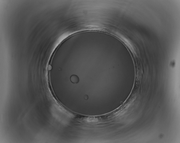 X0000100341291200806121142