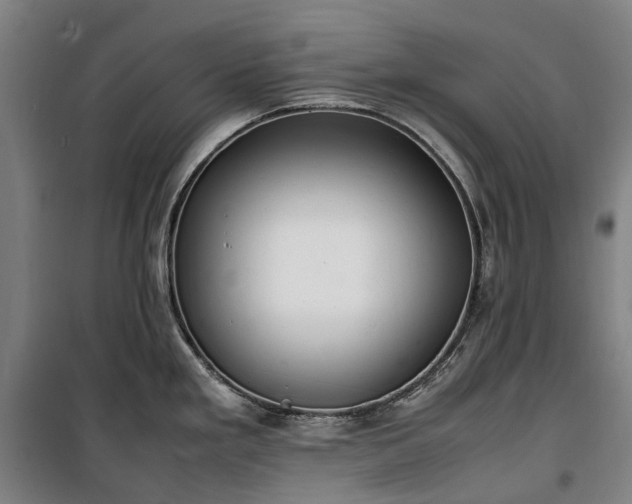 X0000100341293200806121142