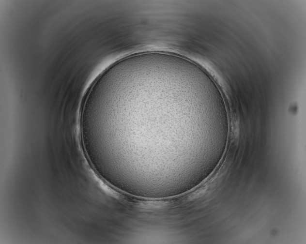 X0000100341294200806121142