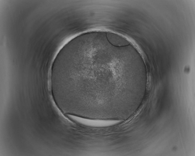 X0000100341295200806121142