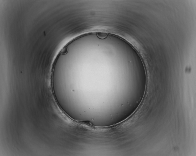 X0000100341296200806121142