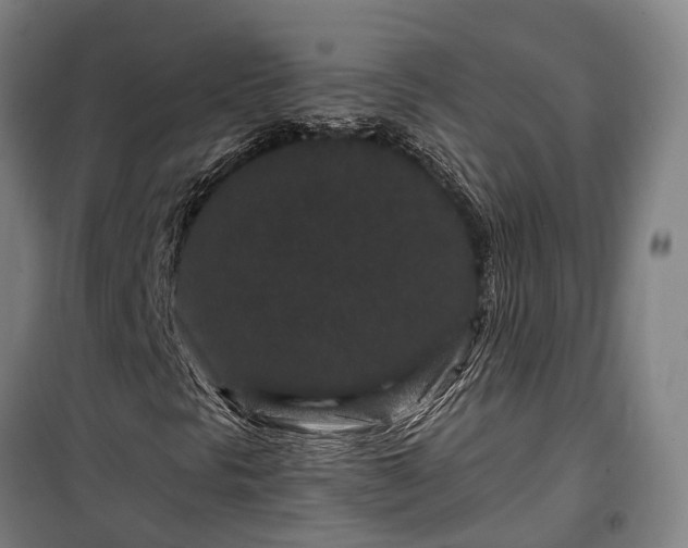 X0000100341297200806121141