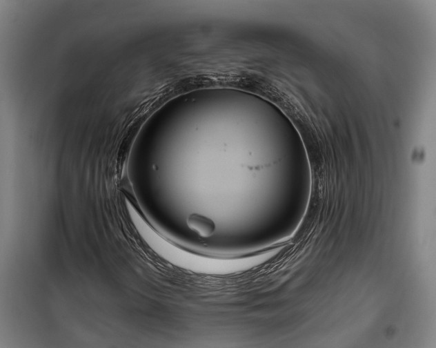 X0000100341298200806121141