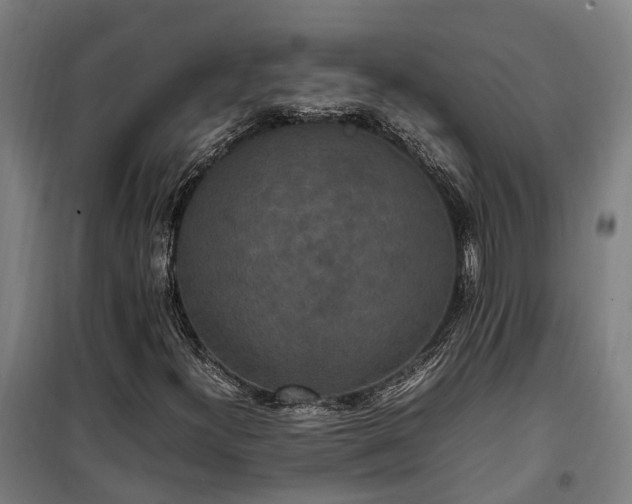 X0000100341300200806121141