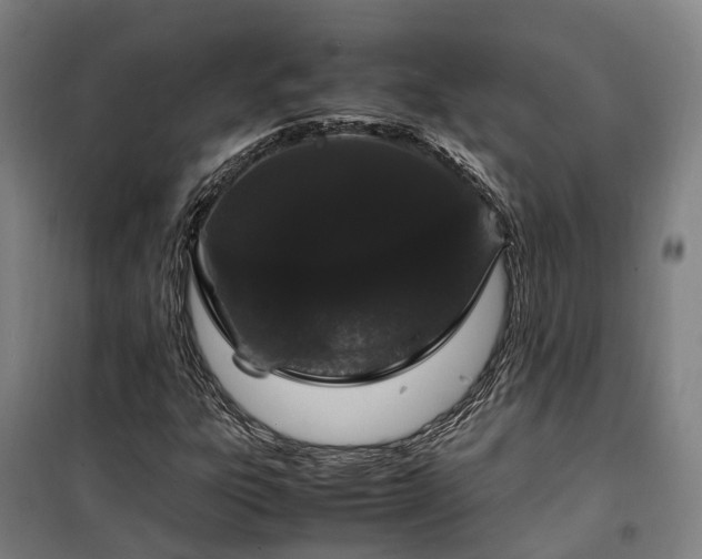 X0000100341303200806121141