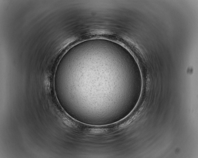 X0000100341305200806121141