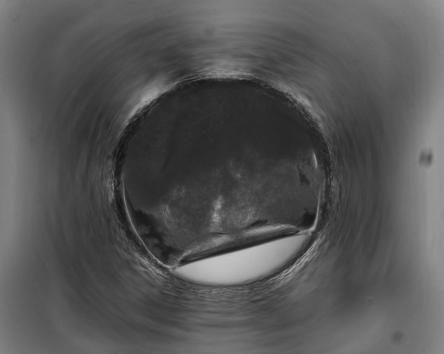 X0000100341306200806121141