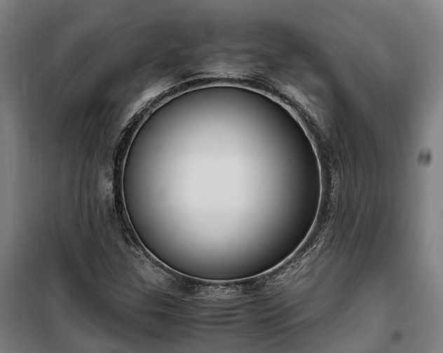 X0000100341307200806121141