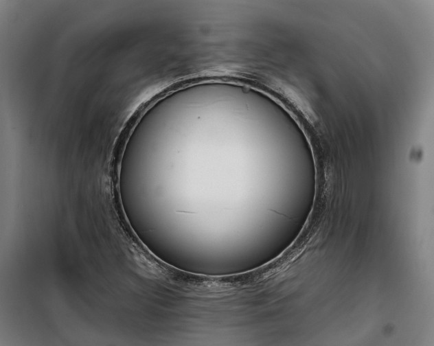 X0000100341308200806121141