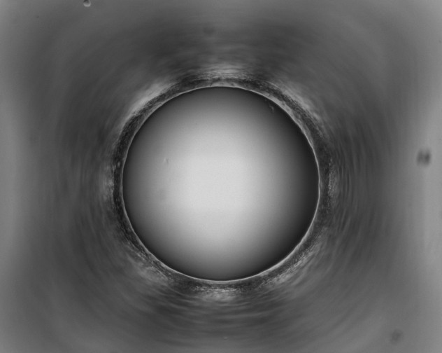 X0000100341309200806121141