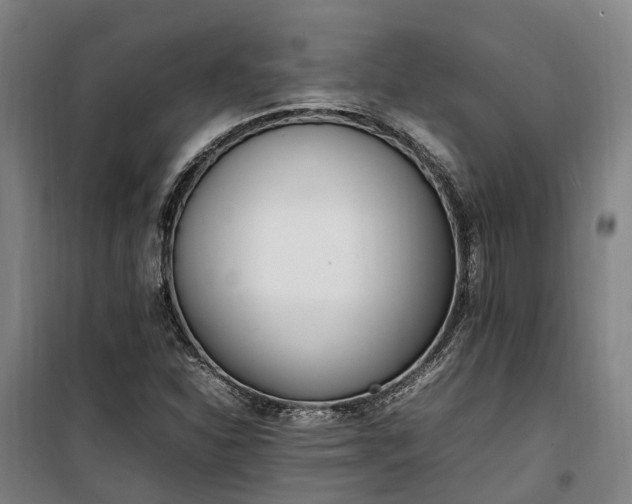 X0000100341310200806121141