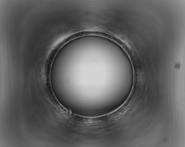X0000100341311200806121141