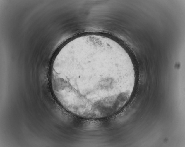 X0000100341314200806121141