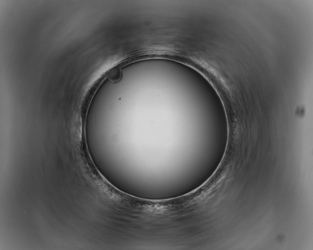 X0000100341317200806121142