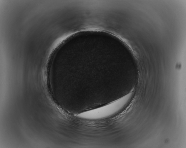 X0000100341319200806121142