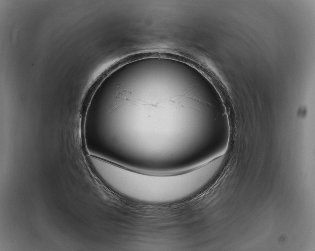 X0000100341320200806121142