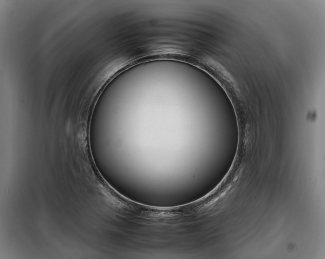 X0000100341321200806121142